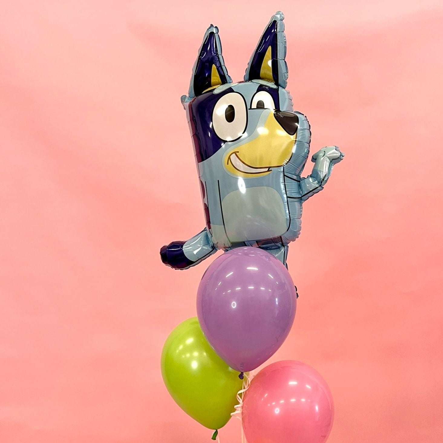 Bluey Foil