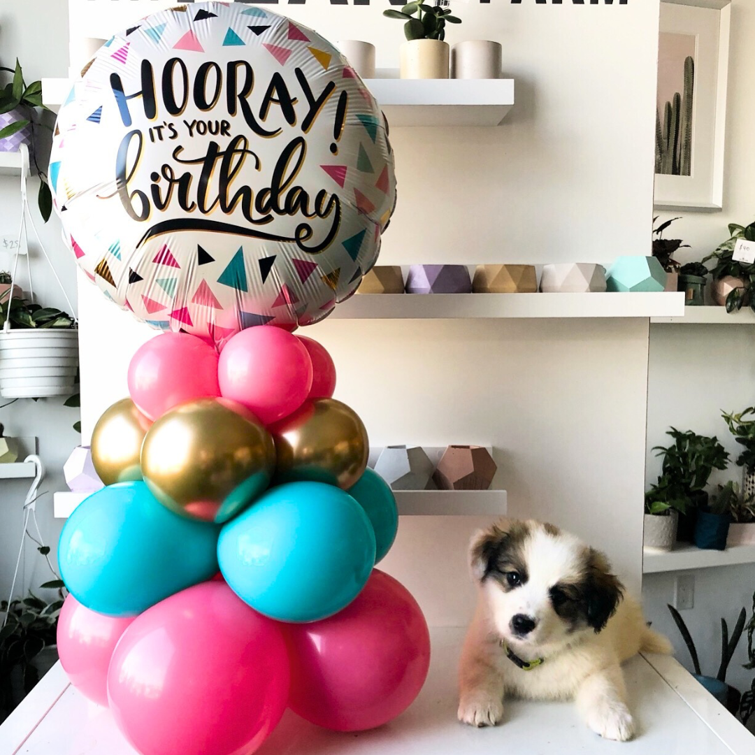 Birthday Stock Table Topper