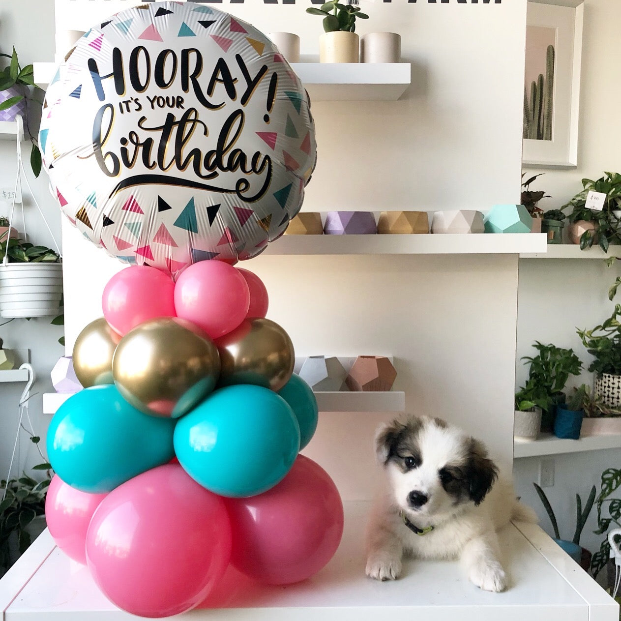 Baby Table Topper